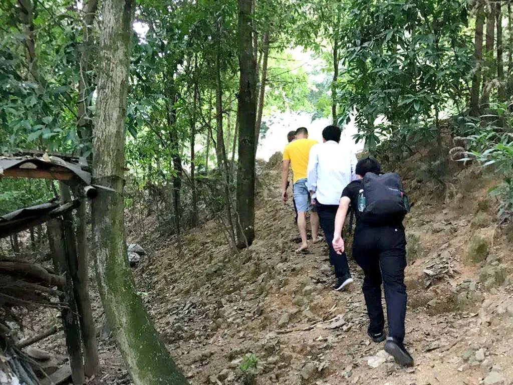 英雄联盟外挂卡盟