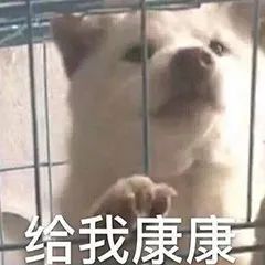 SS5赛季单人模式攻略：装甲爆破骑兵攻城阵容推荐，助你轻松应对法术阵容