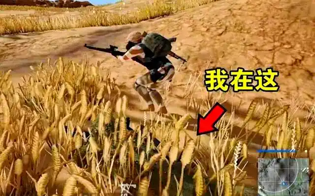 绝地求生伏地魔
