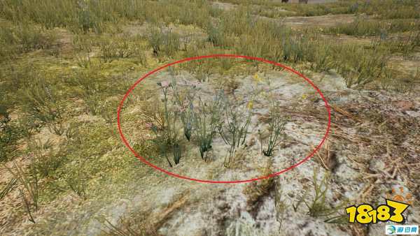 绝地求生伏地魔实战效果及不易被发现的原因分析