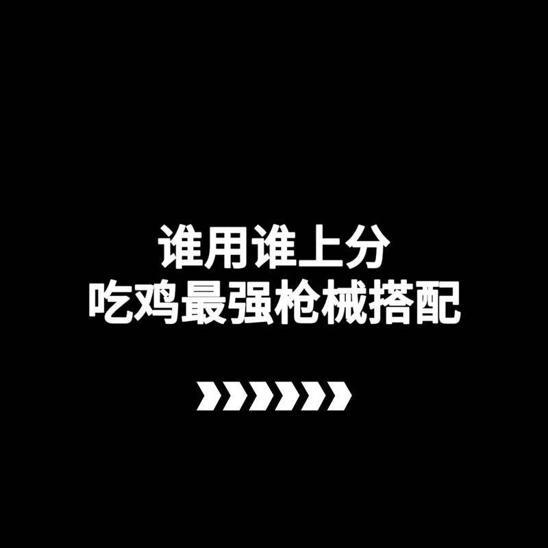 绝地求生大神枪配